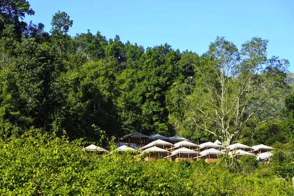 Camping in Rishikesh