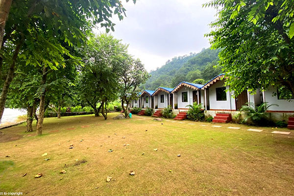 Camping in Rishikesh