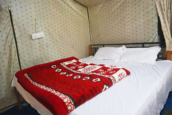 Camping in Rishikesh