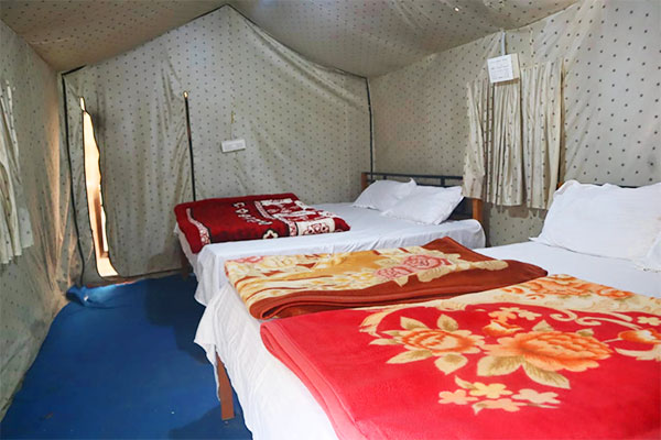 Camping in Rishikesh