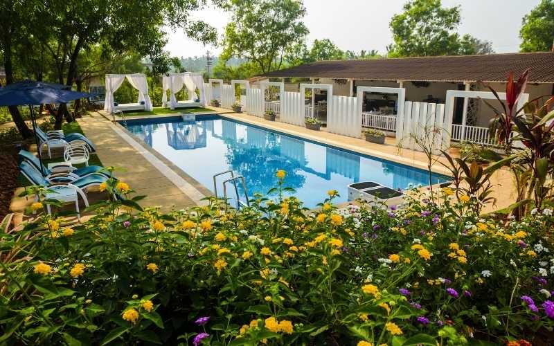 White Wood Resort Morjim - Tropical Retreat with Pool View